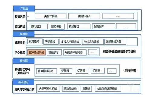 類腦智能 人工智能基礎軟件開發的另一條路徑
